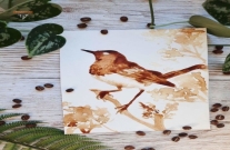 Картина з ароматом. Дівчина створює чарівні ілюстрації за допомогою кави.  Фото | РУДАНА